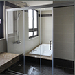 Plants: image 4 0f 4 thumb